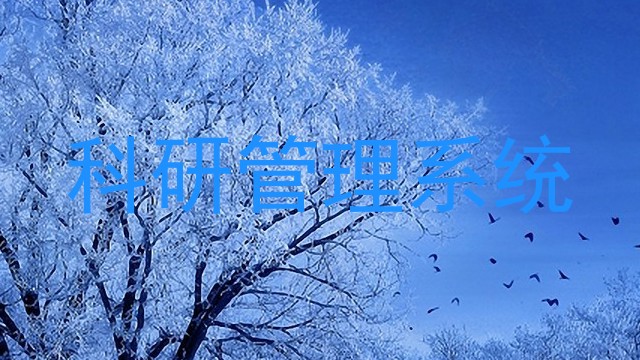 科研管理系统