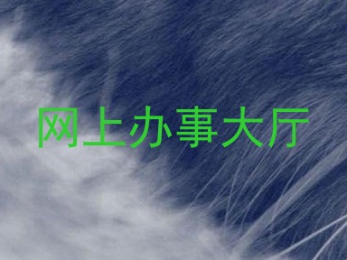 网上办事大厅