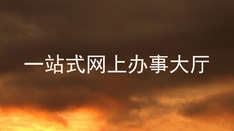 一站式网上办事大厅