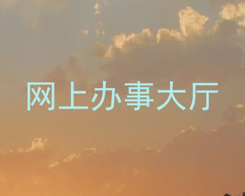 网上办事大厅