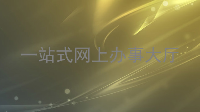 一站式网上办事大厅