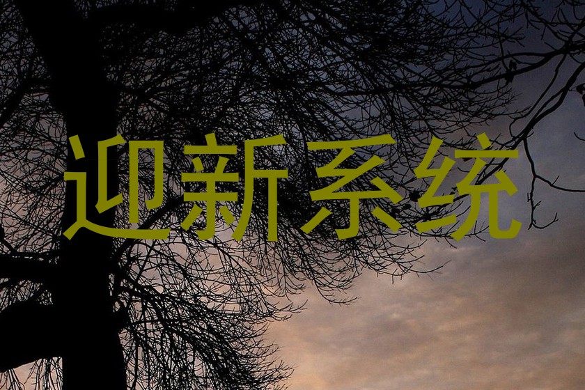 迎新系统