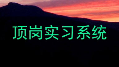顶岗实习系统