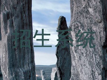 招生系统