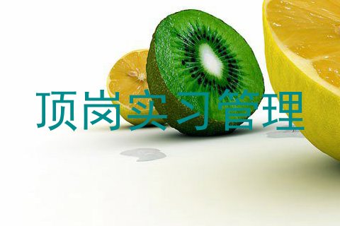 顶岗实习管理