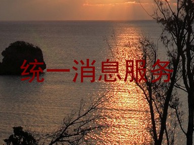统一消息服务