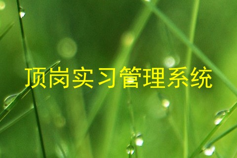 顶岗实习管理系统
