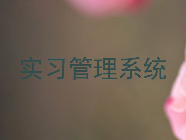 实习管理系统