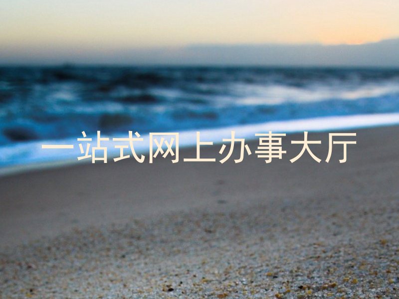 一站式网上办事大厅