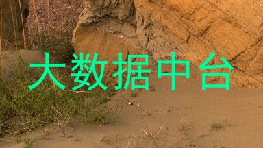 大数据中台