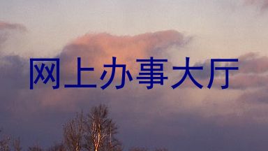 网上办事大厅