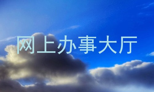 网上办事大厅