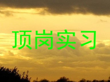 顶岗实习