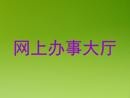 网上办事大厅