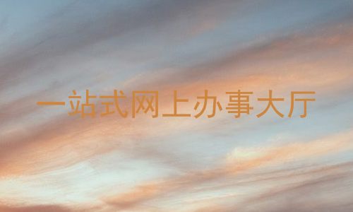一站式网上办事大厅
