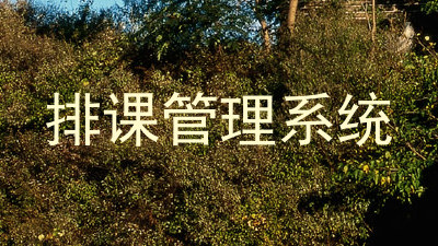 排课管理系统
