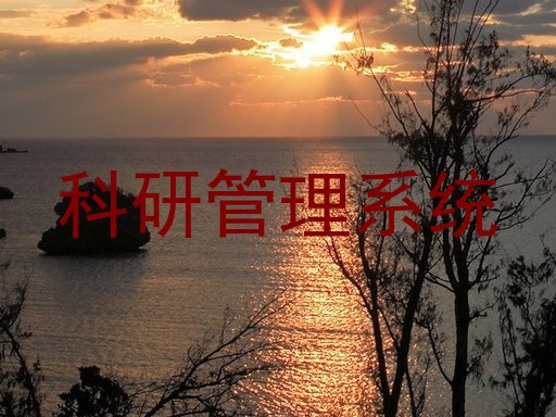 科研管理系统
