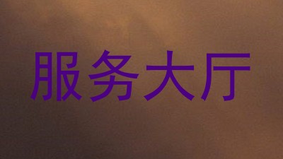 服务大厅