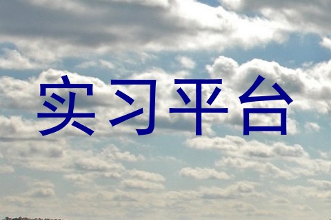 实习平台