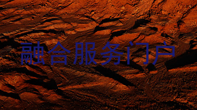 融合服务门户