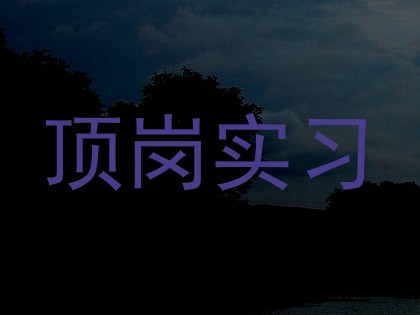 顶岗实习