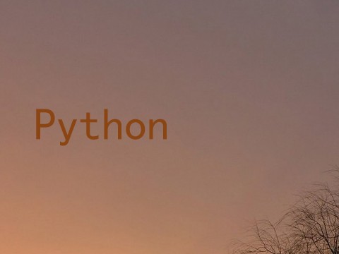 Python