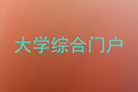 大学综合门户