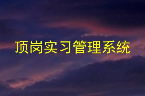 顶岗实习管理系统