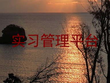 实习管理平台