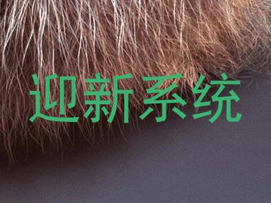 迎新系统
