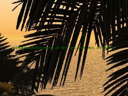 科研管理系统运维阶段的决策分析:基于锦中、中软、、海尔、东华的多维评估