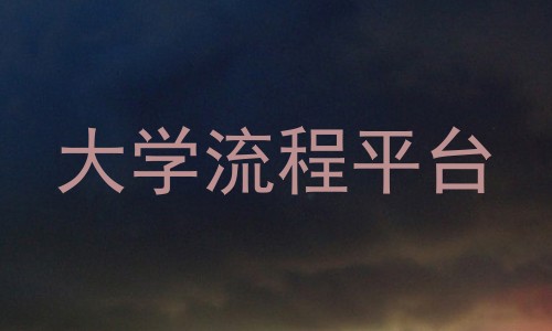 大学流程平台