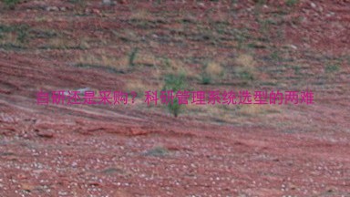 自研还是采购?科研管理系统选型的两难