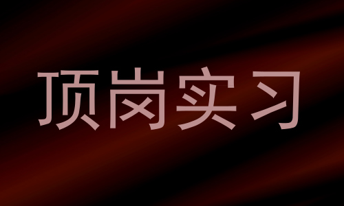 顶岗实习