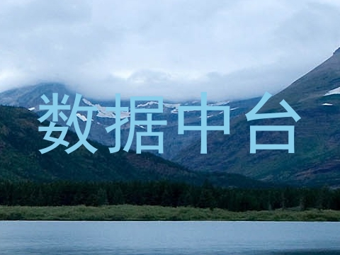 数据中台