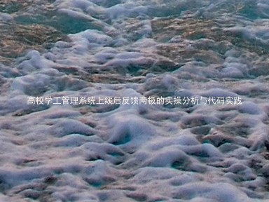 高校学工管理系统上线后反馈两极的实操分析与代码实践
