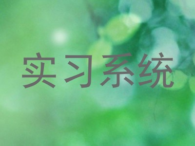 实习系统
