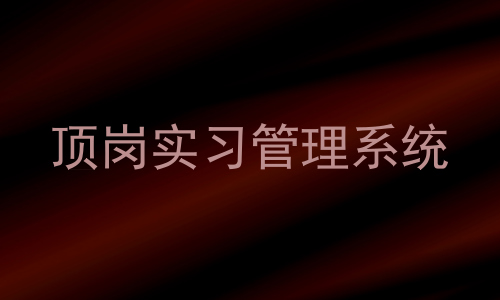 顶岗实习管理系统