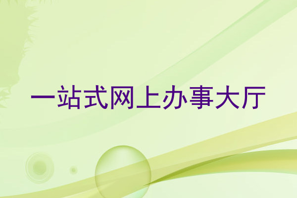 一站式网上办事大厅