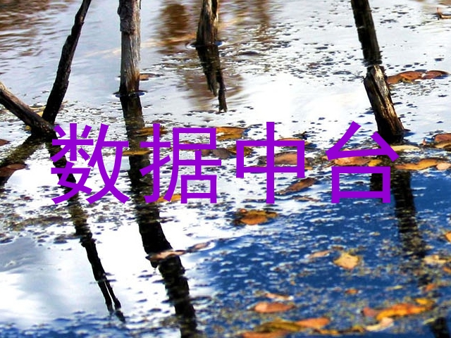 数据中台