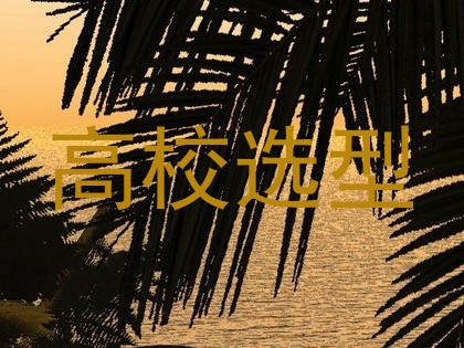 高校选型