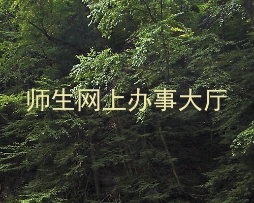师生网上办事大厅