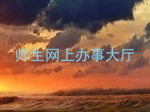 师生网上办事大厅