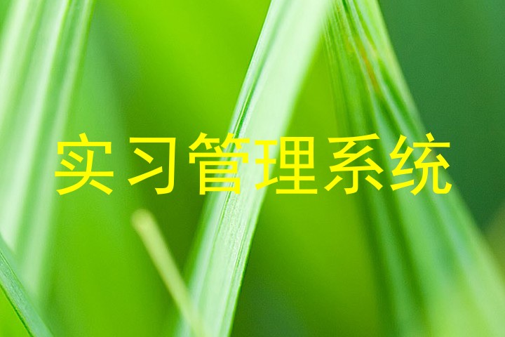 实习管理系统