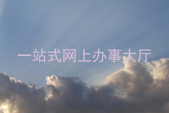 一站式网上办事大厅