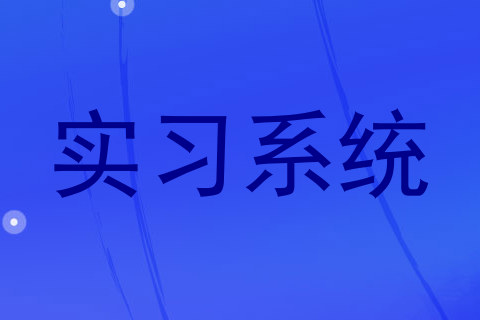 实习系统