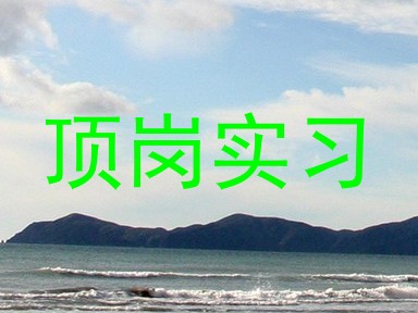顶岗实习