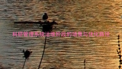 科研管理系统运维阶段的场景与优化路径