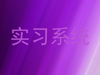 实习系统