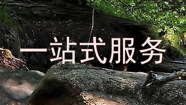 一站式服务